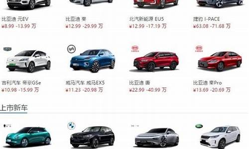 新能源汽车 价格_新能源汽车价格大全一览表2020最新标准