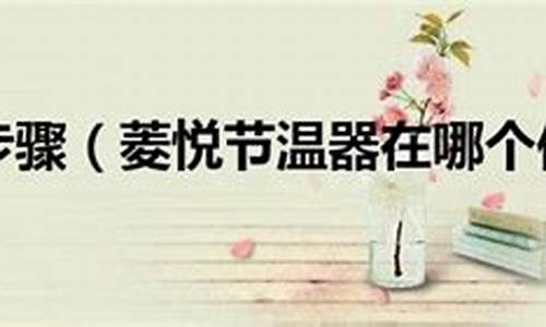 v3菱悦汽车清洗节气门多少钱一个_东南菱悦v3清洗节气门后怎么恢复